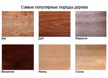 Популярные породы дерева